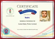 Locked Certificate Preview