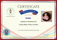 Locked Certificate Preview