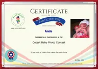 Locked Certificate Preview