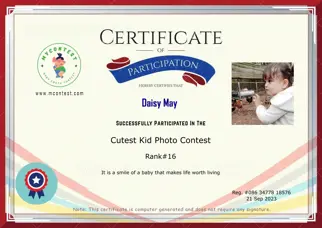 Certificate Preview