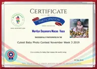 Locked Certificate Preview