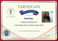 Locked Certificate Preview