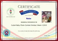 Locked Certificate Preview