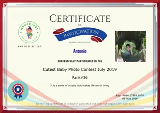 Certificate Preview