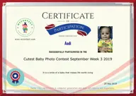 Locked Certificate Preview