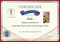 Locked Certificate Preview