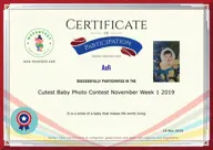 Locked Certificate Preview