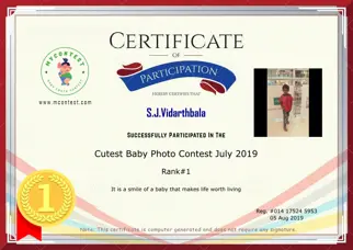 Certificate Preview
