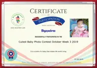 Locked Certificate Preview