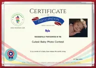 Locked Certificate Preview