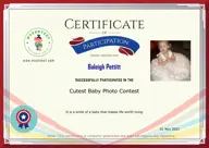 Locked Certificate Preview