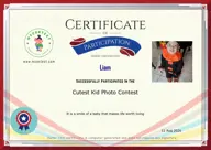 Locked Certificate Preview