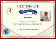 Locked Certificate Preview