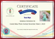 Locked Certificate Preview