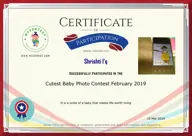 Locked Certificate Preview