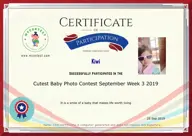 Locked Certificate Preview