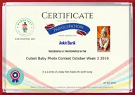 Locked Certificate Preview