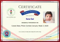 Locked Certificate Preview