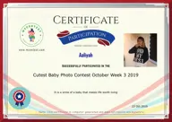 Locked Certificate Preview