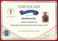 Locked Certificate Preview