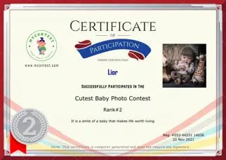 Certificate Preview