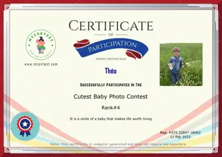 Certificate Preview