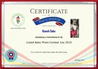 Locked Certificate Preview