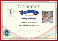 Locked Certificate Preview