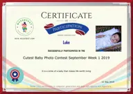 Locked Certificate Preview