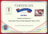 Locked Certificate Preview