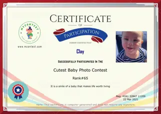 Certificate Preview