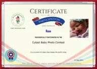 Locked Certificate Preview