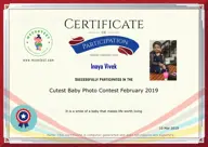 Locked Certificate Preview