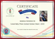 Locked Certificate Preview