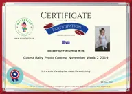 Locked Certificate Preview