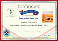 Locked Certificate Preview