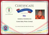 Locked Certificate Preview