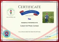 Locked Certificate Preview