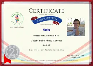 Certificate Preview